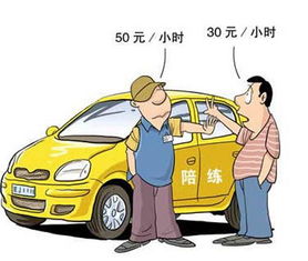 汽車陪駕 百科